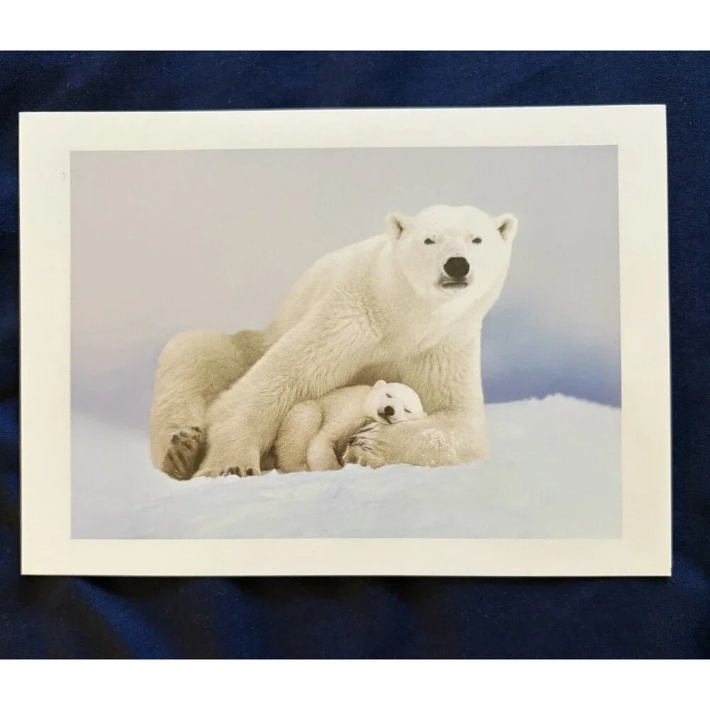 Generic Card with White Envelope | Polar Bears design | By EDF
